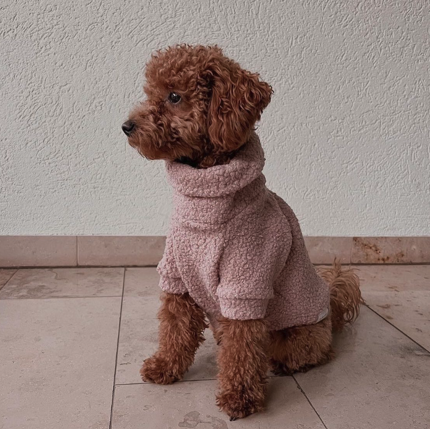 タートルネック / Teddy Jumper / Teddy Pullover – inunoco / いぬのこ