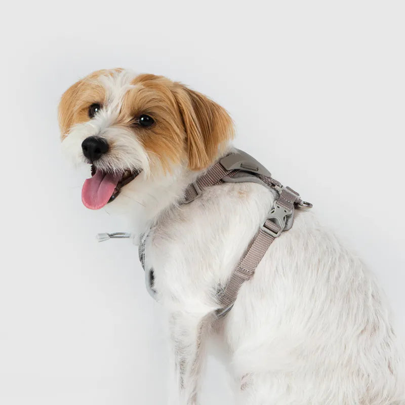 首輪・ハーネス・リード WOOF CONCEPT Aqua Cosmopolitan Leash M 犬用 胴輪 WOOF CONCEPT ハーネス Lサイズ 全3種 ペット用品 犬