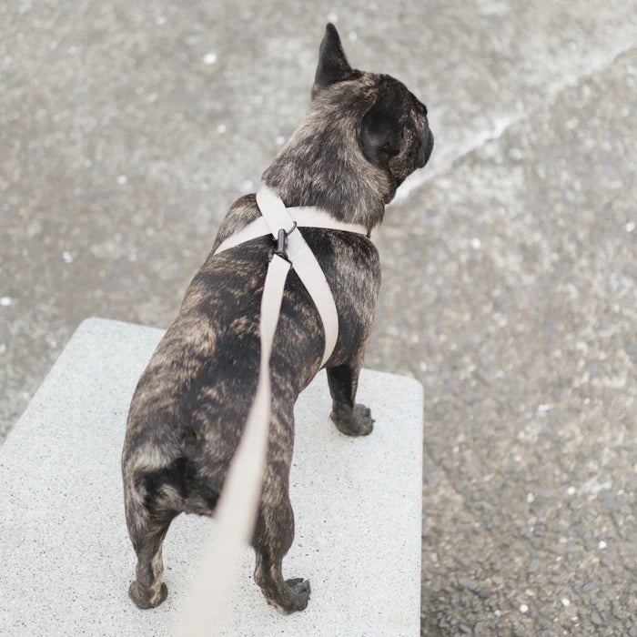 八の字型ハーネス / OTTO escape proof harness – inunoco / いぬのこ 八の字型ハーネス / OTTO escape proof harness – inunoco / いぬのこ