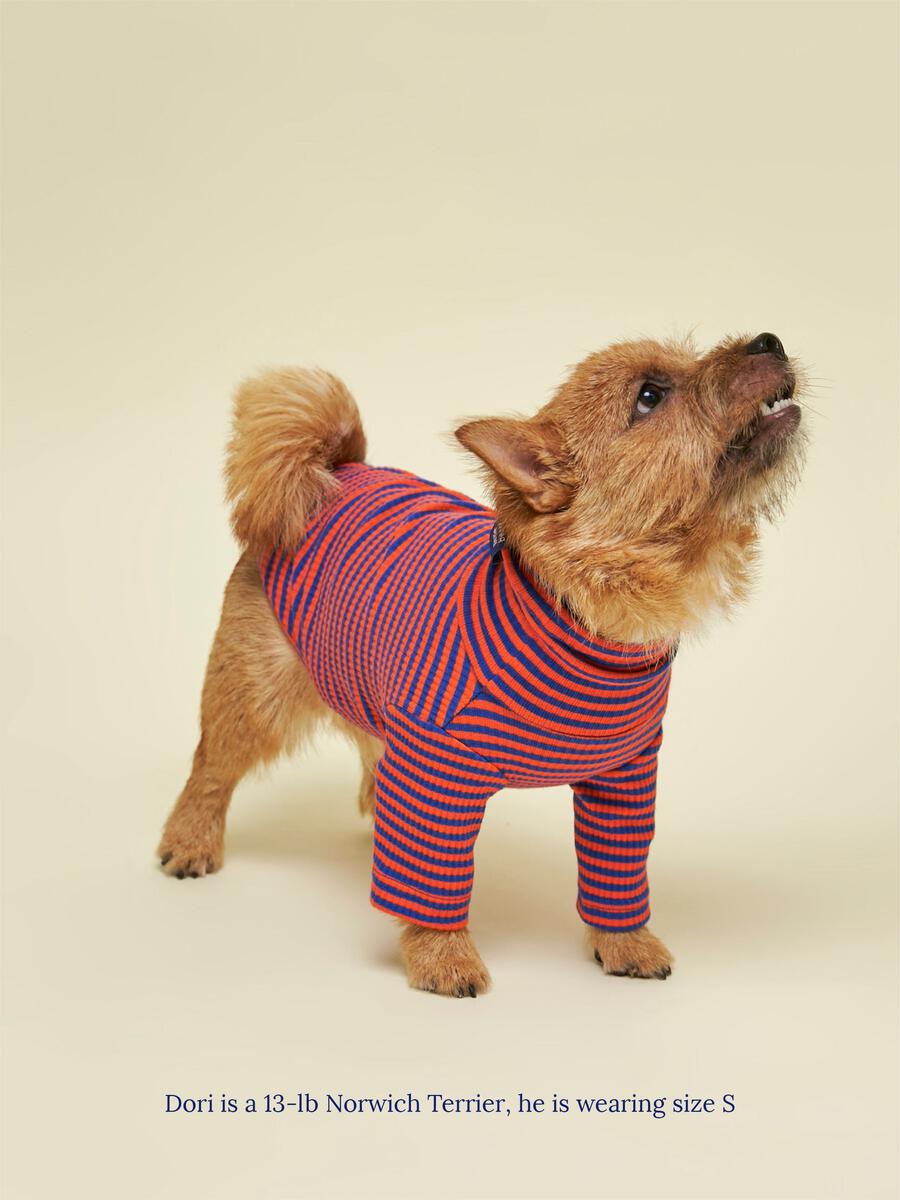 ストライプ リブ プルオーバー / Striped sweatshirt