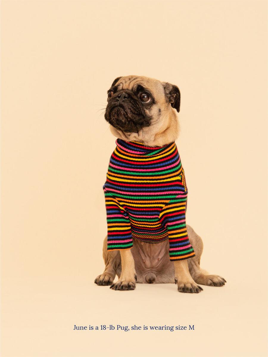 ストライプ リブ プルオーバー / Striped sweatshirt