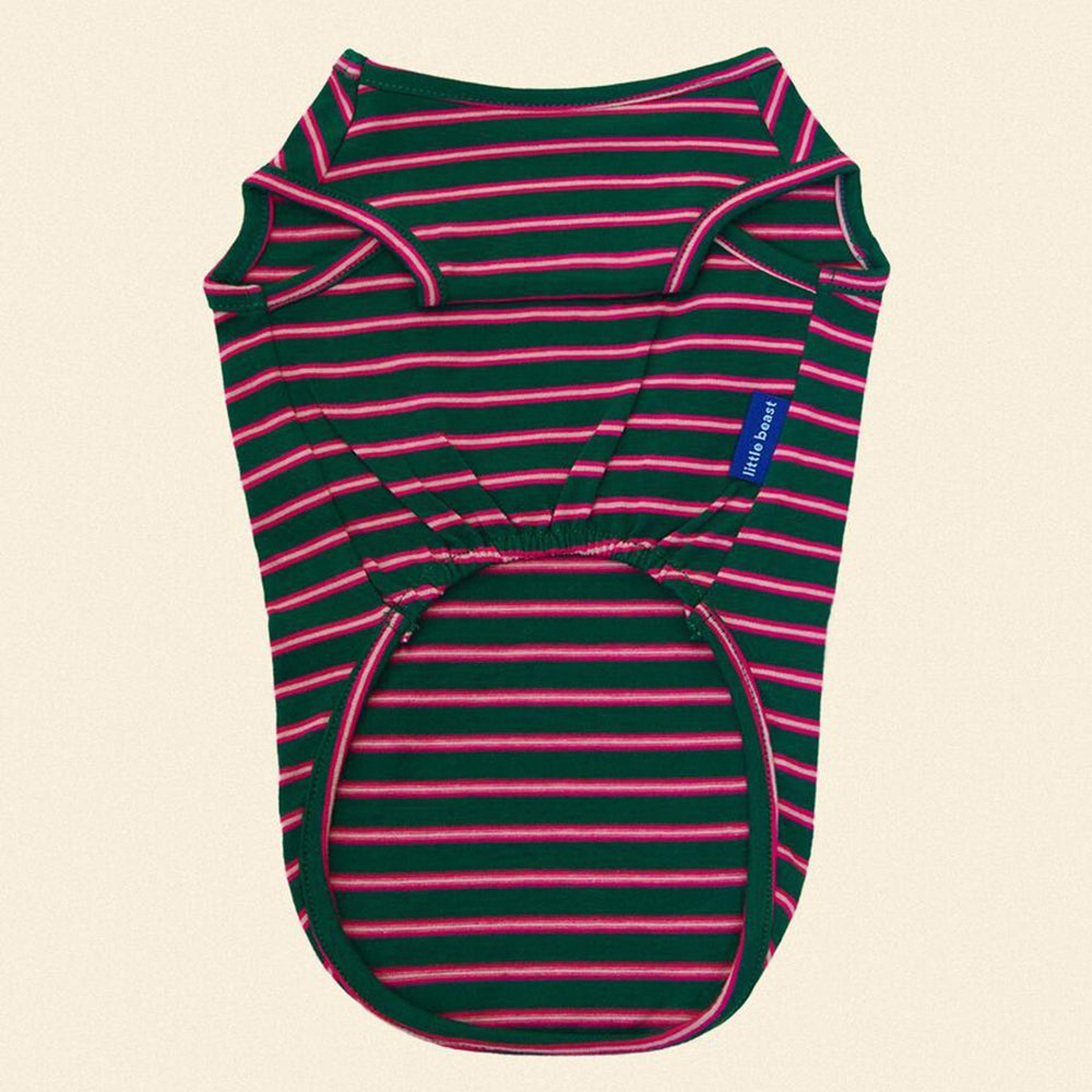 ストライプ タンクトップ / jalapeno-sleeveless-shirt（グリーン×ピンク）