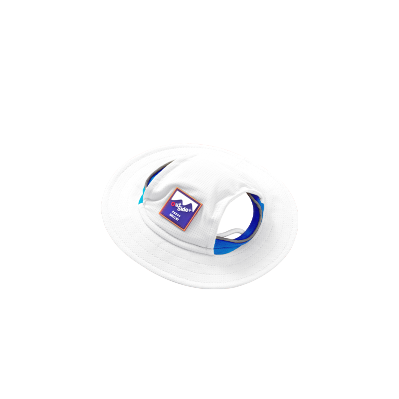 0090000000252_141f3fc5-b90f-4a8a-969b-22a33878259f.png
