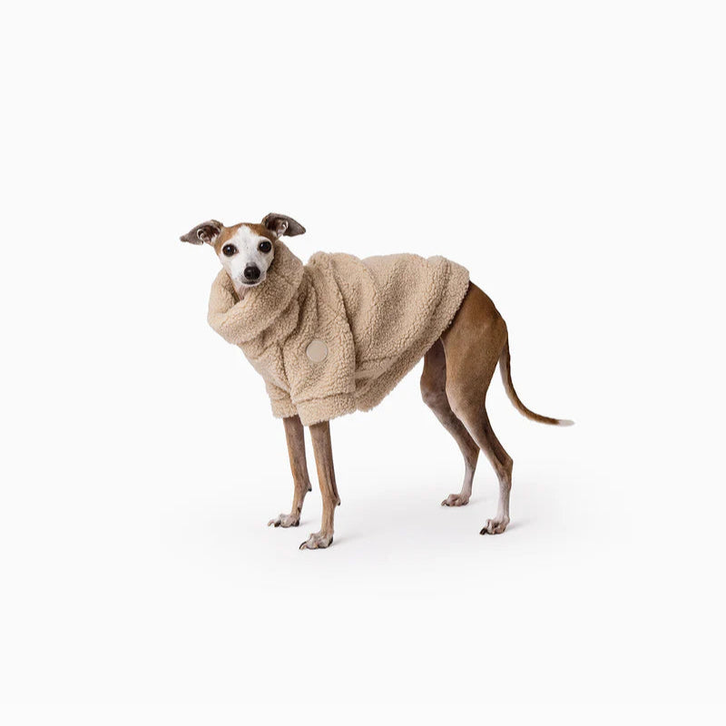  Teddy Jumper