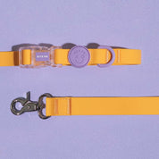 ウォータープルーフ ハンズフリー リード / Macaron Hands-free Waterproof Leash