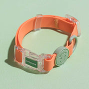 ウォータープルーフ 首輪 / Macaron Waterproof Collar