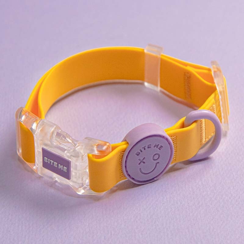  Macaron Waterproof Collar