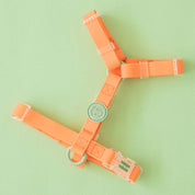 ウォータープルーフハーネス / Macaron Waterproof Harness