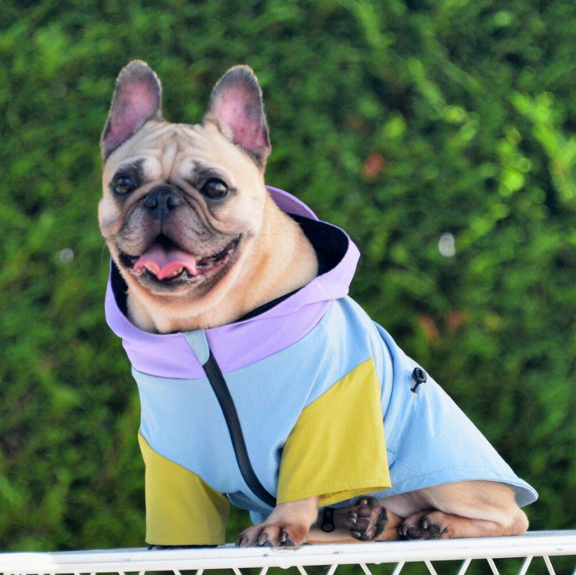 Lambwolf Collective / ラムウルフコレクティブ 正規販売店