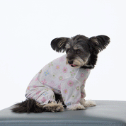 フリル フリル エアリーシールド ロンパース ベージュ / Frill-frill airy shield onesie Beige
