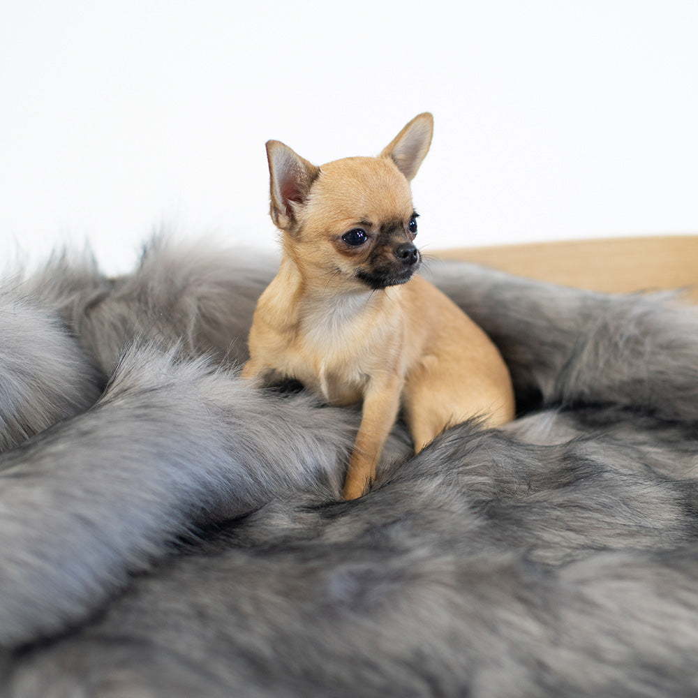  FÖRA BLANKET