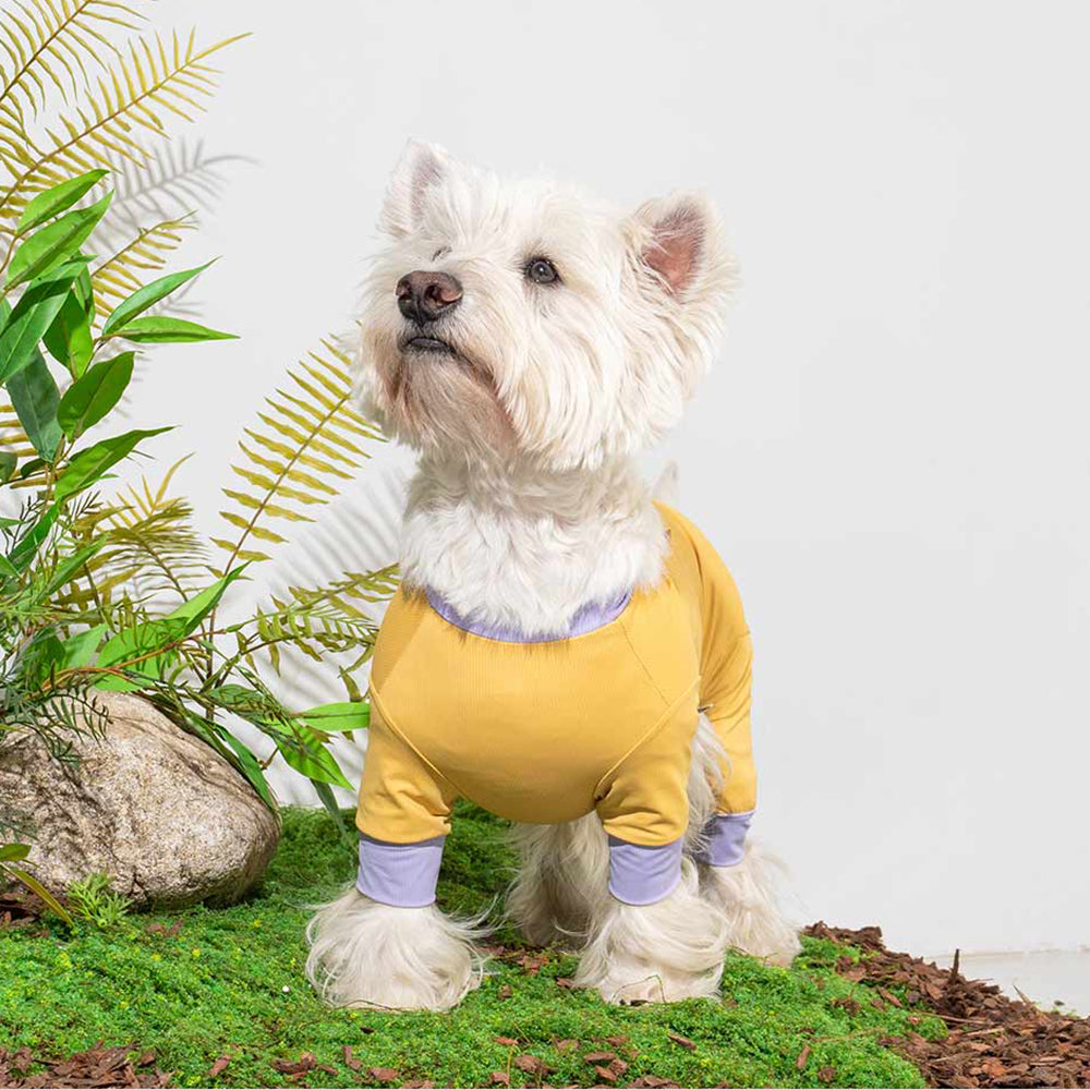 サマーロンパース マスタードイエロー / Cooling all-in-one