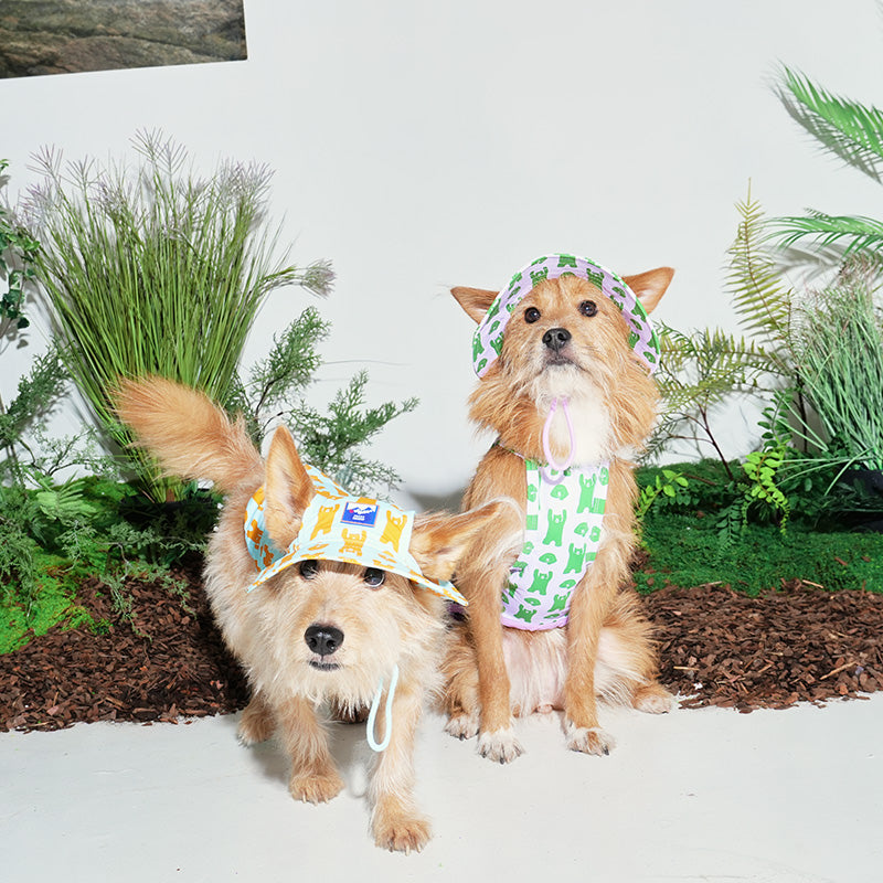 Puppy Gallery / パピーギャラリー正規販売店 – – inunoco