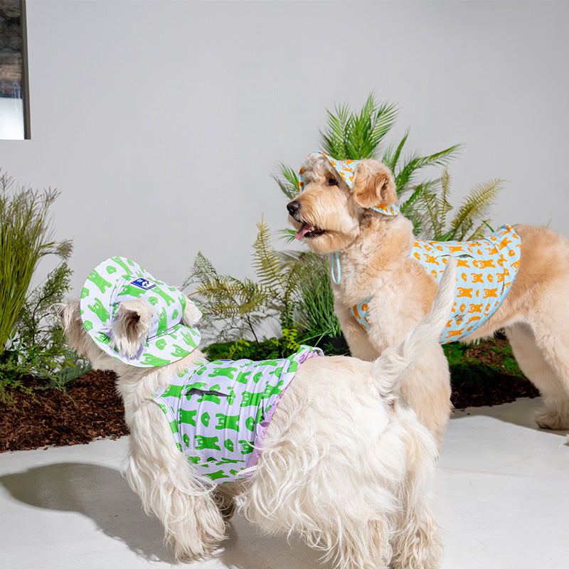 Puppy Gallery / パピーギャラリー正規販売店 – – inunoco