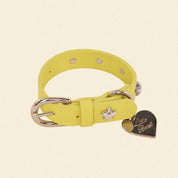 首輪 / Cowboy Collar - Olive
