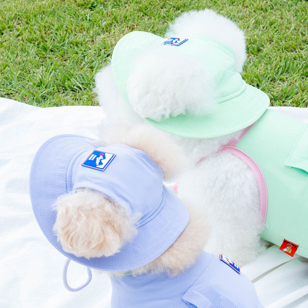 1_8ef2beb5-3976-4a8b-b73b-271ff89c7d32.jpg