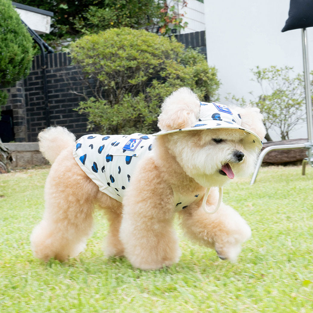 PUPPY GALLERY - クーリングハット – inunoco / いぬのこ