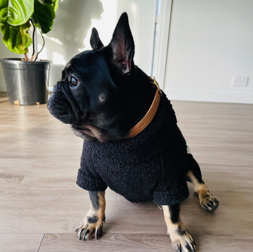  Teddy Jumper