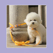 ウォータープルーフ ハンズフリー リード / Macaron Hands-free Waterproof Leash
