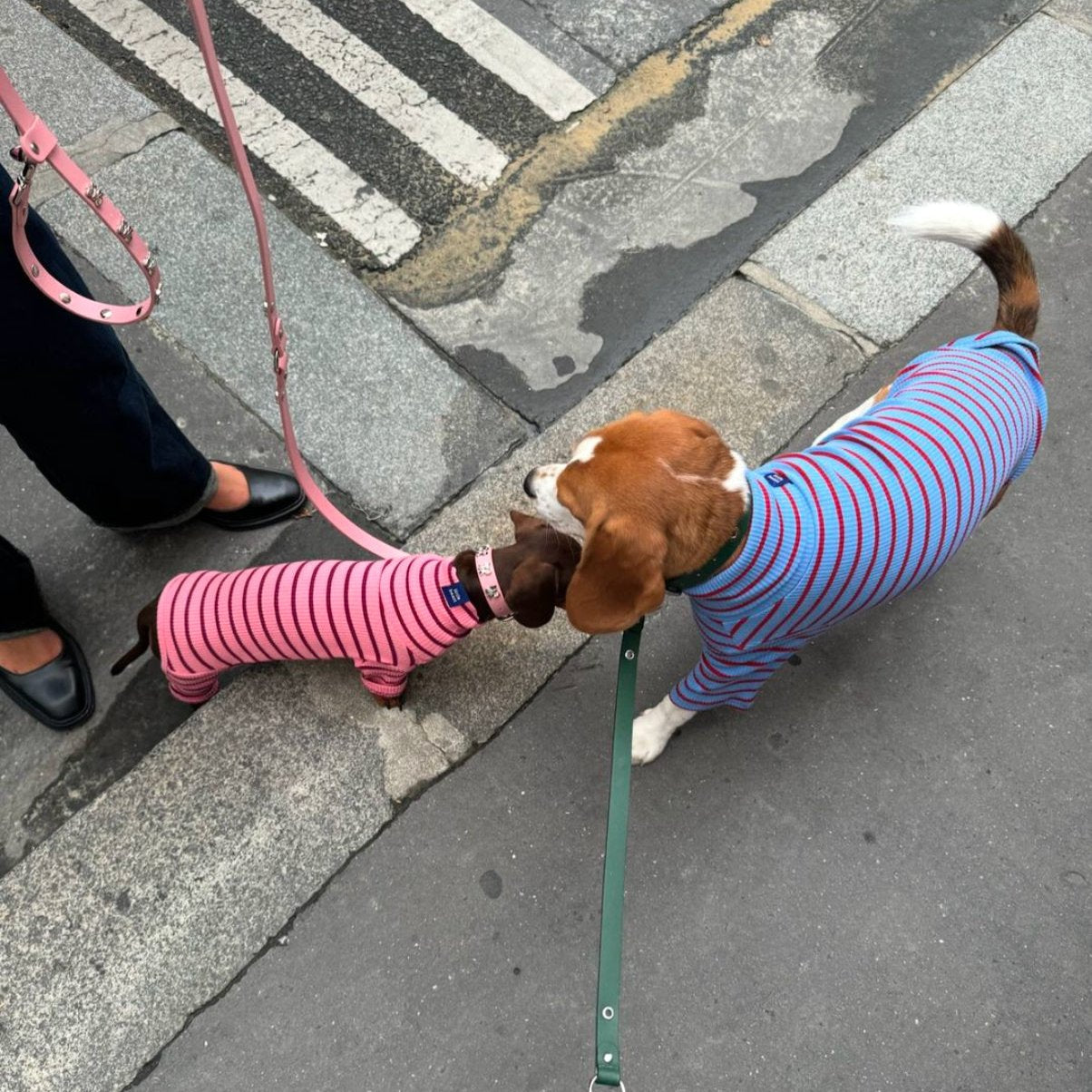 バックパックキャリー カーキグリーン / Explore Pets Backpack