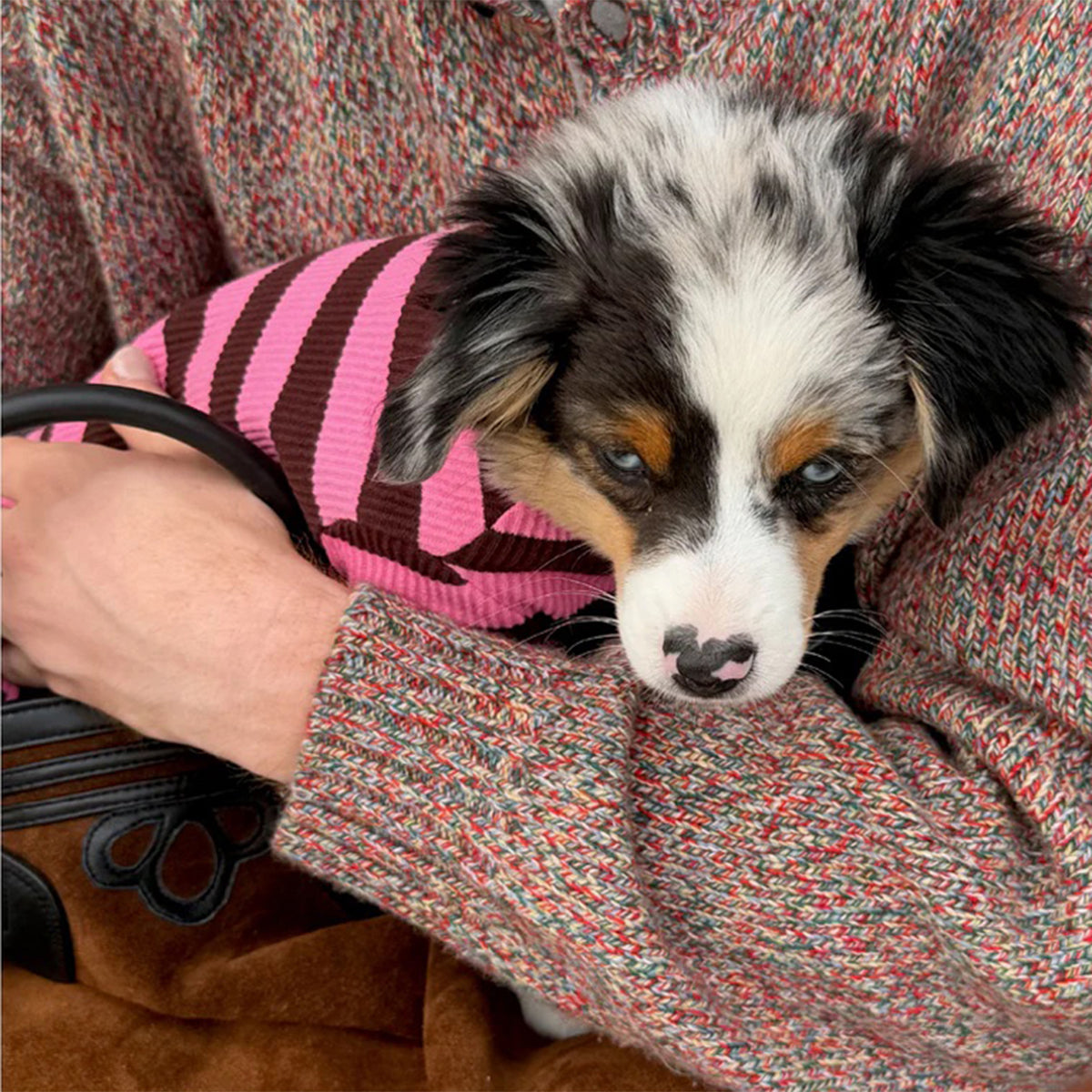 2026SS_0000_little-beast-cheshire-onesie-dog-stripe-onesie-1235136575_x1024_progressive__jpg.jpg