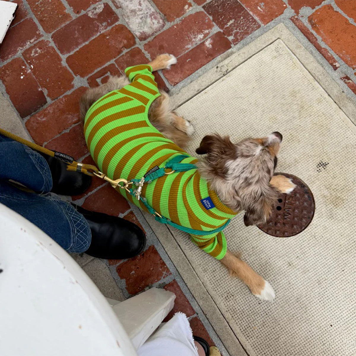 2026SS_0004_little-beast-fresh-grass-onesie-dog-stripe-onesie-1235136573_x1024_progressive_jpg.jpg