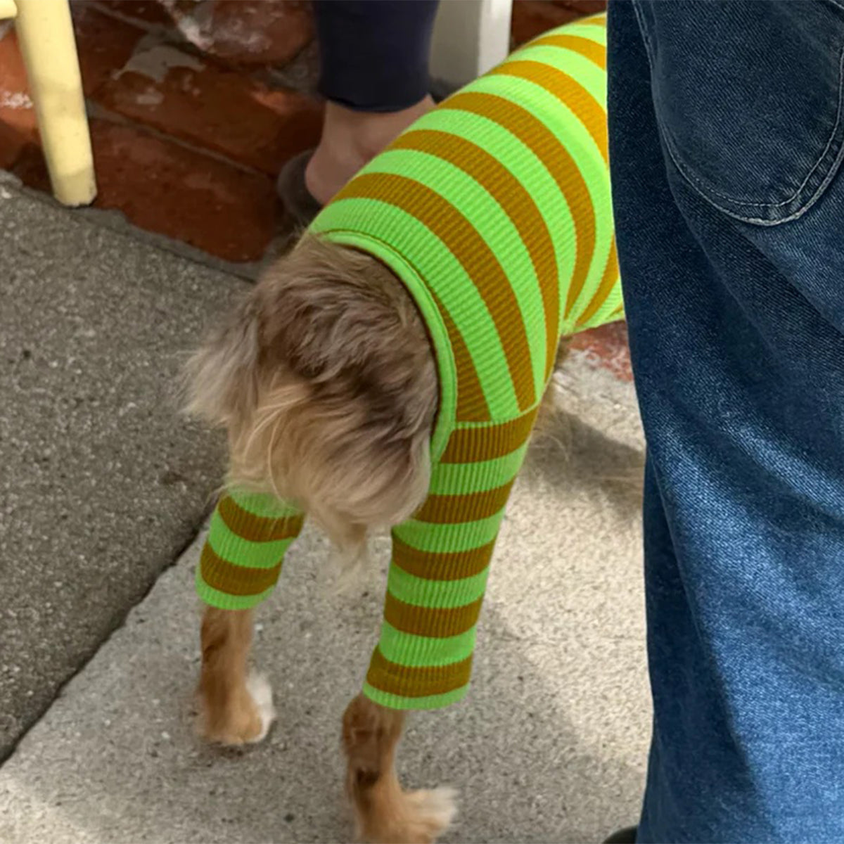 2026SS_0006_little-beast-fresh-grass-onesie-dog-stripe-onesie-1237071136_x1024_progressive_jpeg.jpg