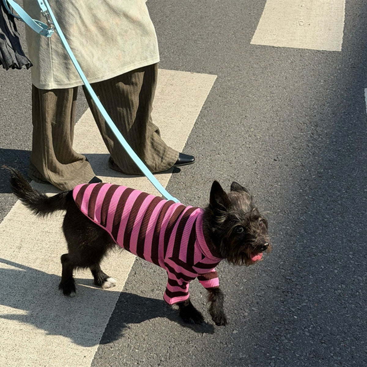 2026ss_0001_little-beast-cheshire-shirt-dog-stripe-shirt-1237071137_x1024_progressive_jpg.jpg