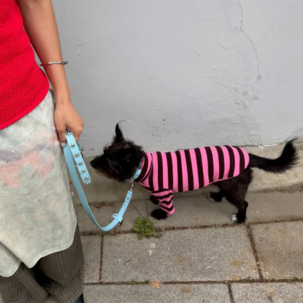 【2026年SS新作】ストライプ リブ プルオーバー Cheshire / Striped sweatshirt