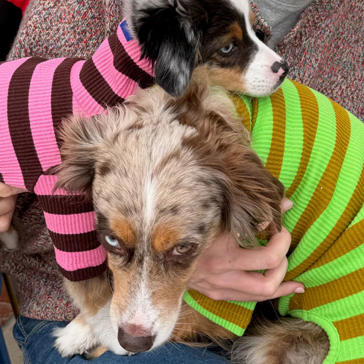 2026ss_0004_little-beast-fresh-grass-onesie-dog-stripe-onesie-1235136572_x1024_progressive__jpg_8700ea80-a4ee-4b3e-9478-0c6c4f3b6534.jpg