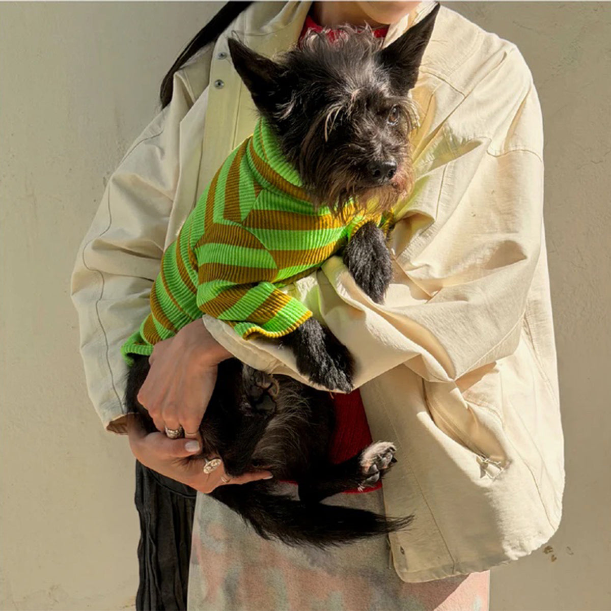 2026ss_0005_little-beast-fresh-grass-shirt-dog-stripe-shirt-1237103002_x1024_progressive_jpg.jpg