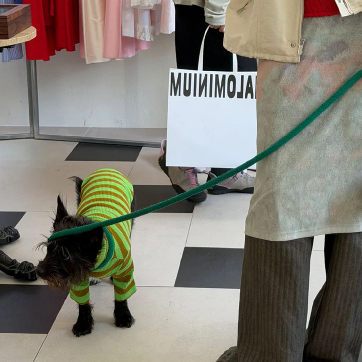 2026ss_0006_little-beast-fresh-grass-shirt-dog-stripe-shirt-1237103003_x1024_progressive_jpg.jpg