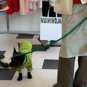 【2026年SS新作】ストライプ リブ プルオーバー Fresh Grass / Striped sweatshirt