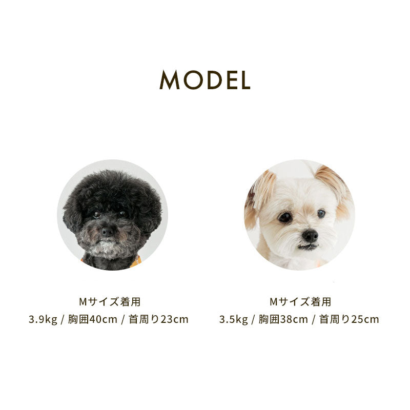 ウォータープルーフハーネス / Macaron Waterproof Harness