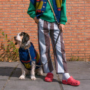 バイカラーセーター / Bicoloured Bands Dog Sweater