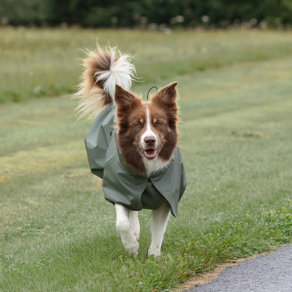 レインコート / Raincoat
