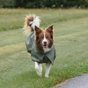 レインコート / Raincoat