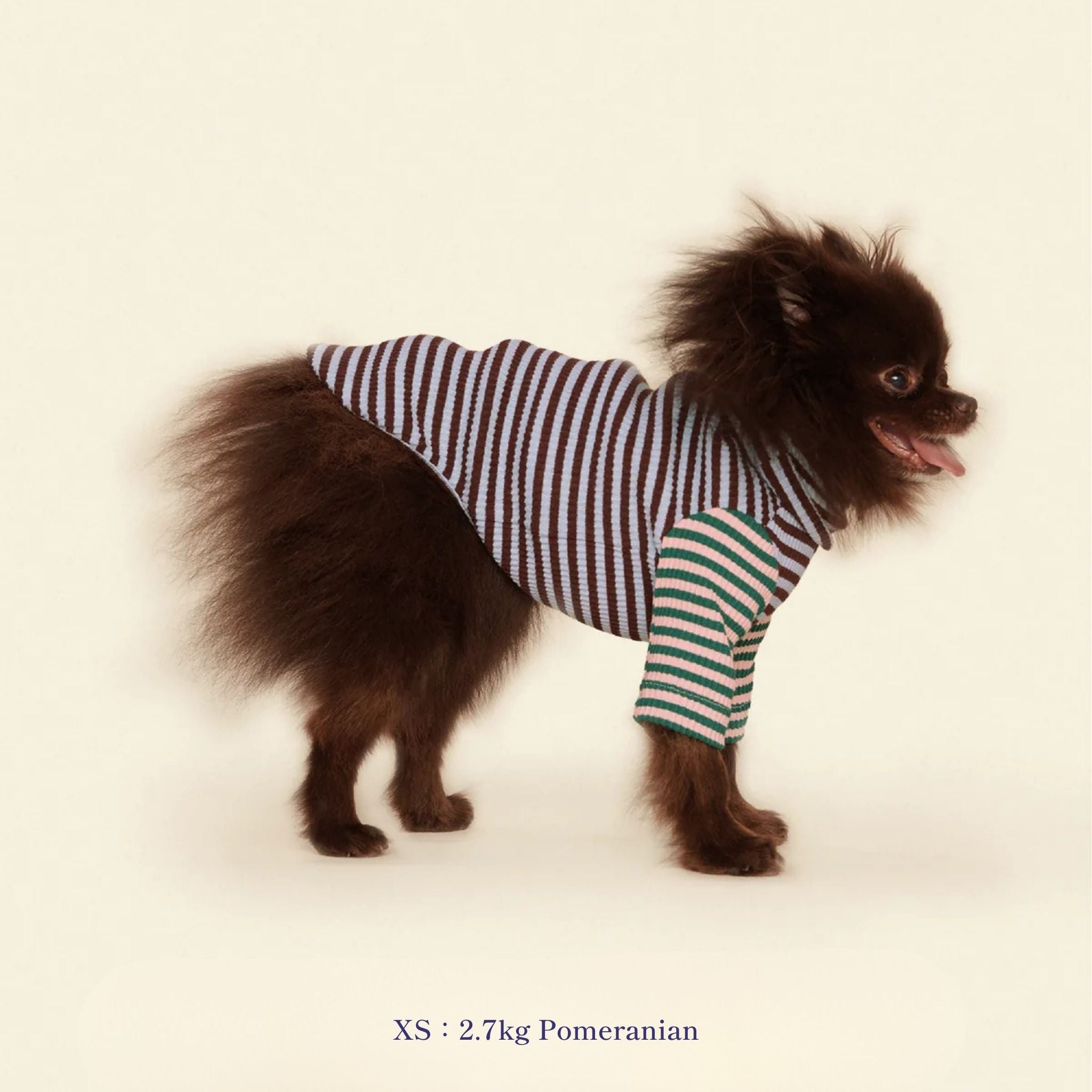 Little Beast / リトルビースト正規販売店 – inunoco / いぬのこ