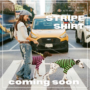 【2026年秋冬新作】ストライプ リブ プルオーバー / Striped sweatshirt