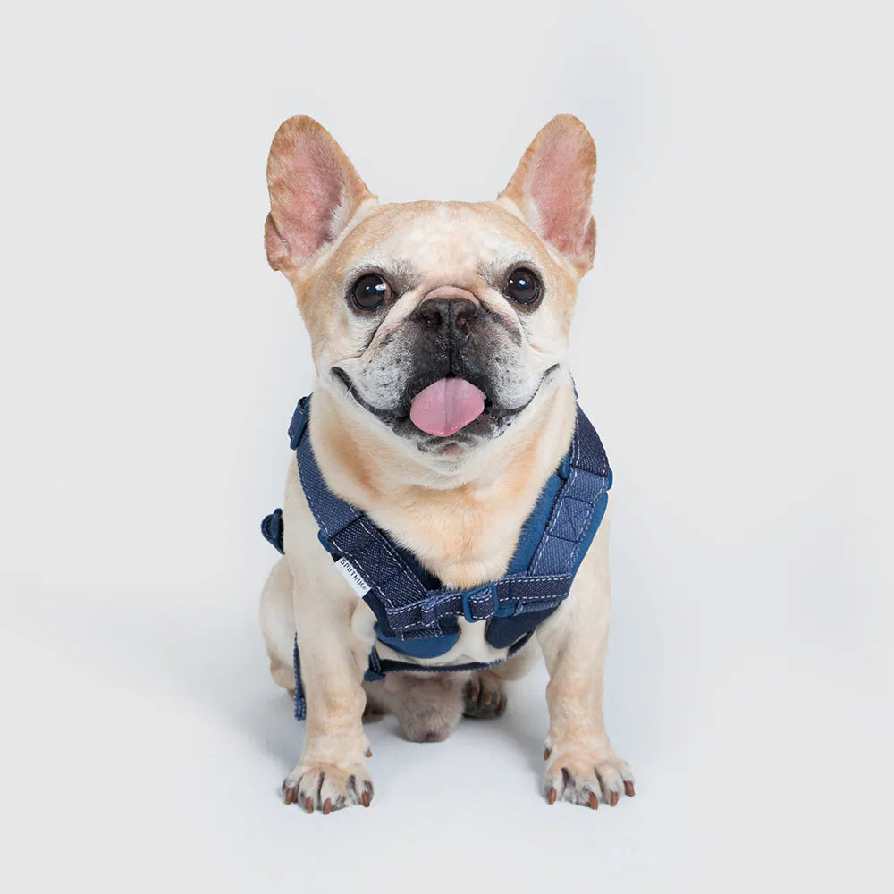 UNIVERSAL OVERALL × SPUTNIK【体に優しいシリーズ】ハーネス デニム / Harness