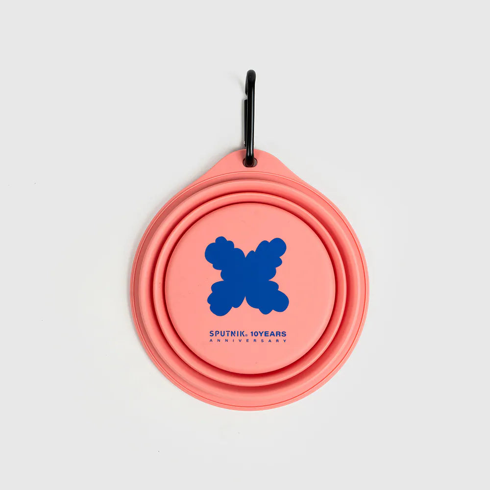  Explore Collapsible Bowl