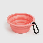 折りたたみウォーターボウル / Explore Collapsible Bowl