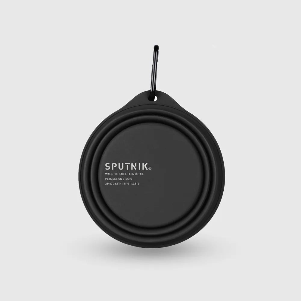  Explore Collapsible Bowl