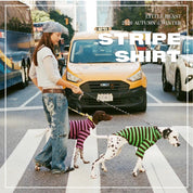 【2026年秋冬新作】ストライプ リブ プルオーバー / Striped sweatshirt