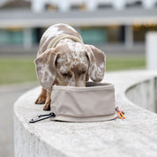 おでかけ用ドッグボウル チャコールグレー / Dog Bowl To Go