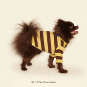 【2025新作】ストライプ リブ プルオーバー Dijon / Striped sweatshirt