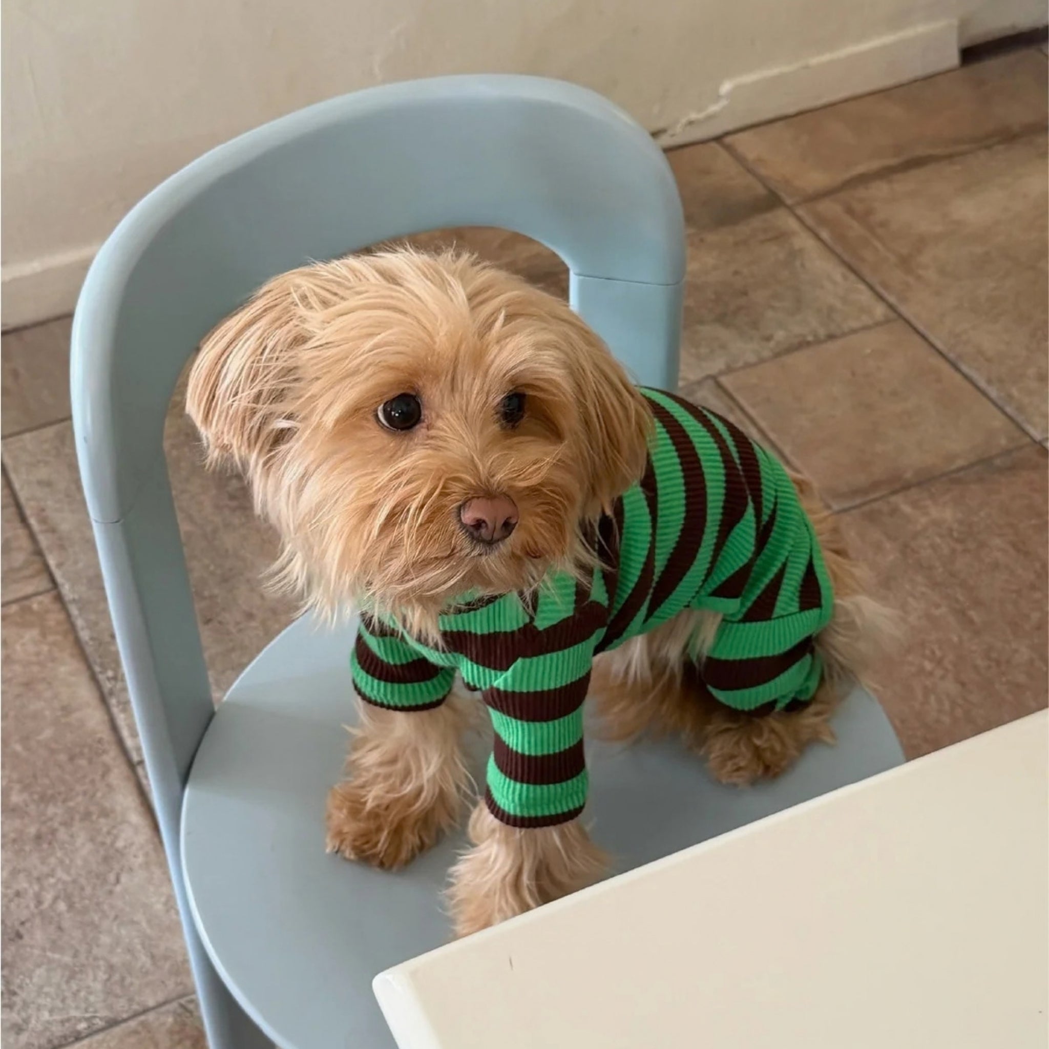 【2026年秋冬新作】ストライプ リブ ロンパース / Striped Onesies