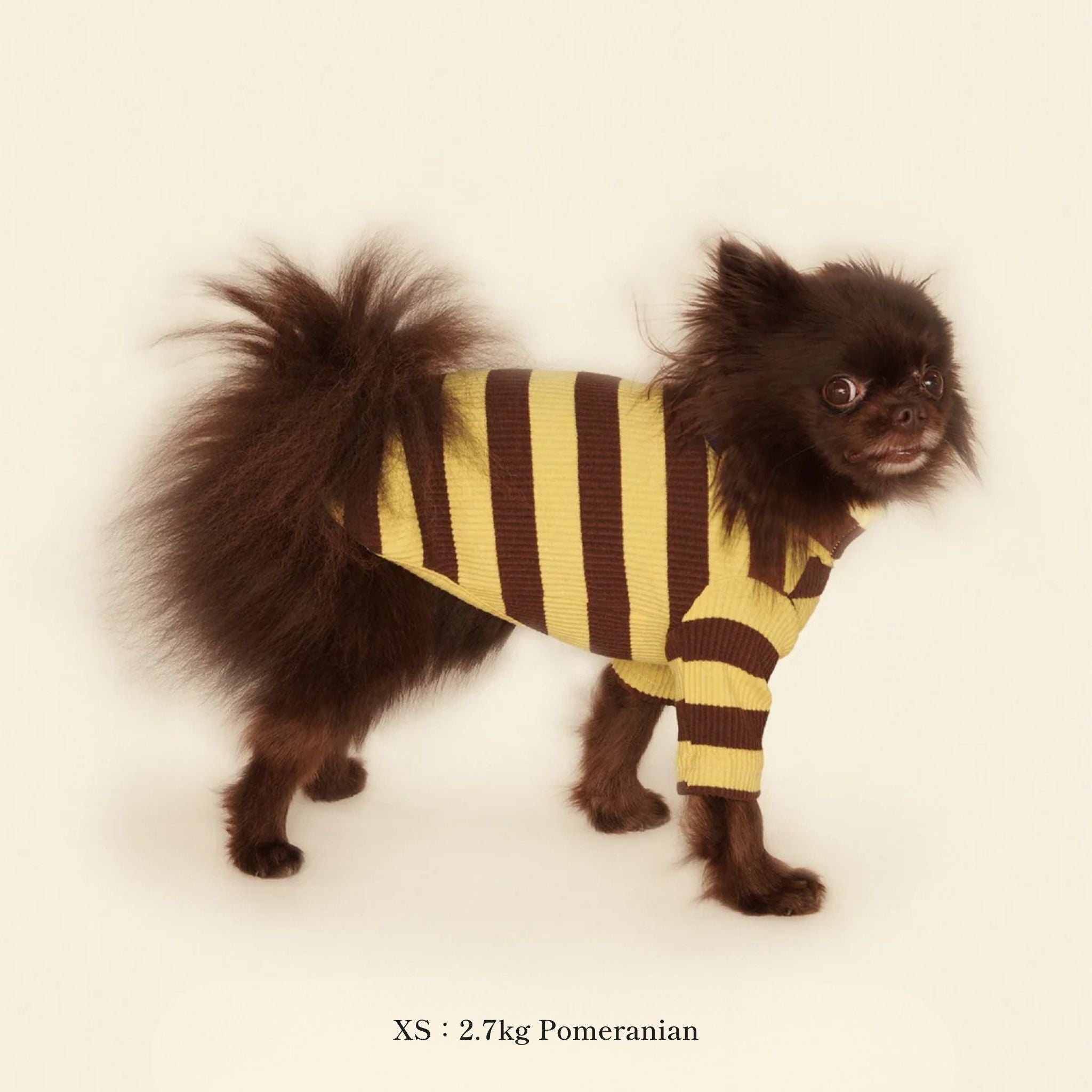 WEAR – inunoco / いぬのこ