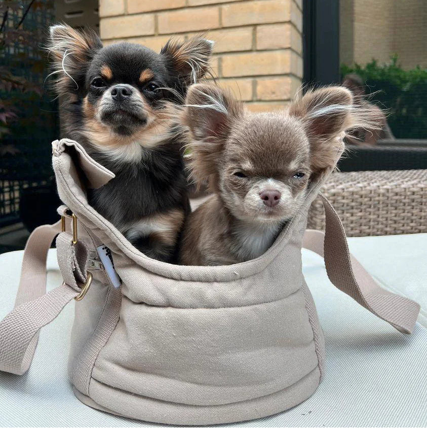 【予約商品】ドッグキャリーバッグ / RIO