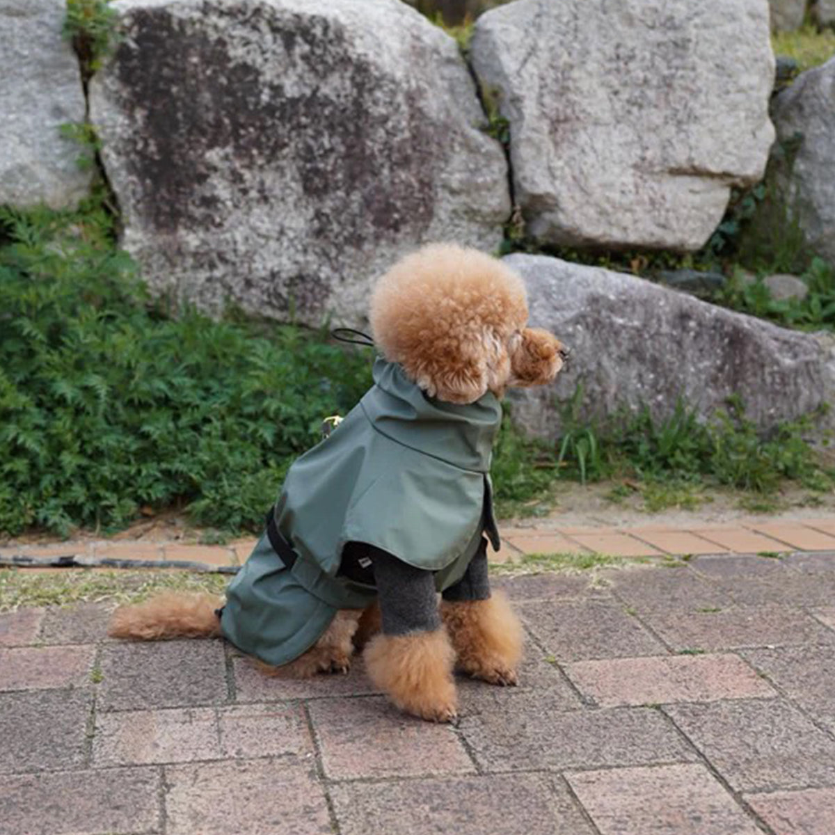 レインコート / Raincoat